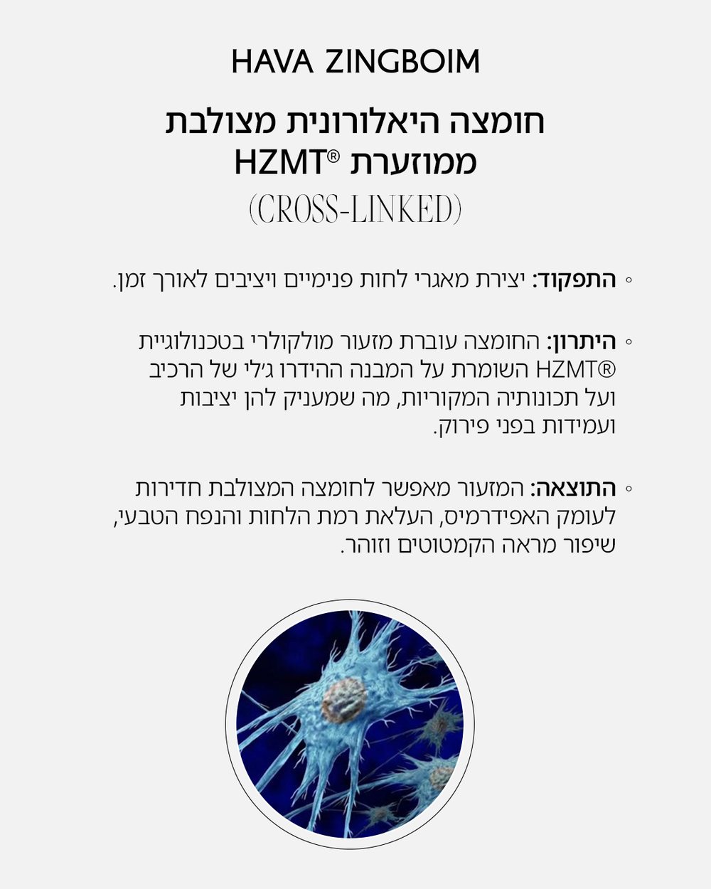 טכנולוגיית HZMT