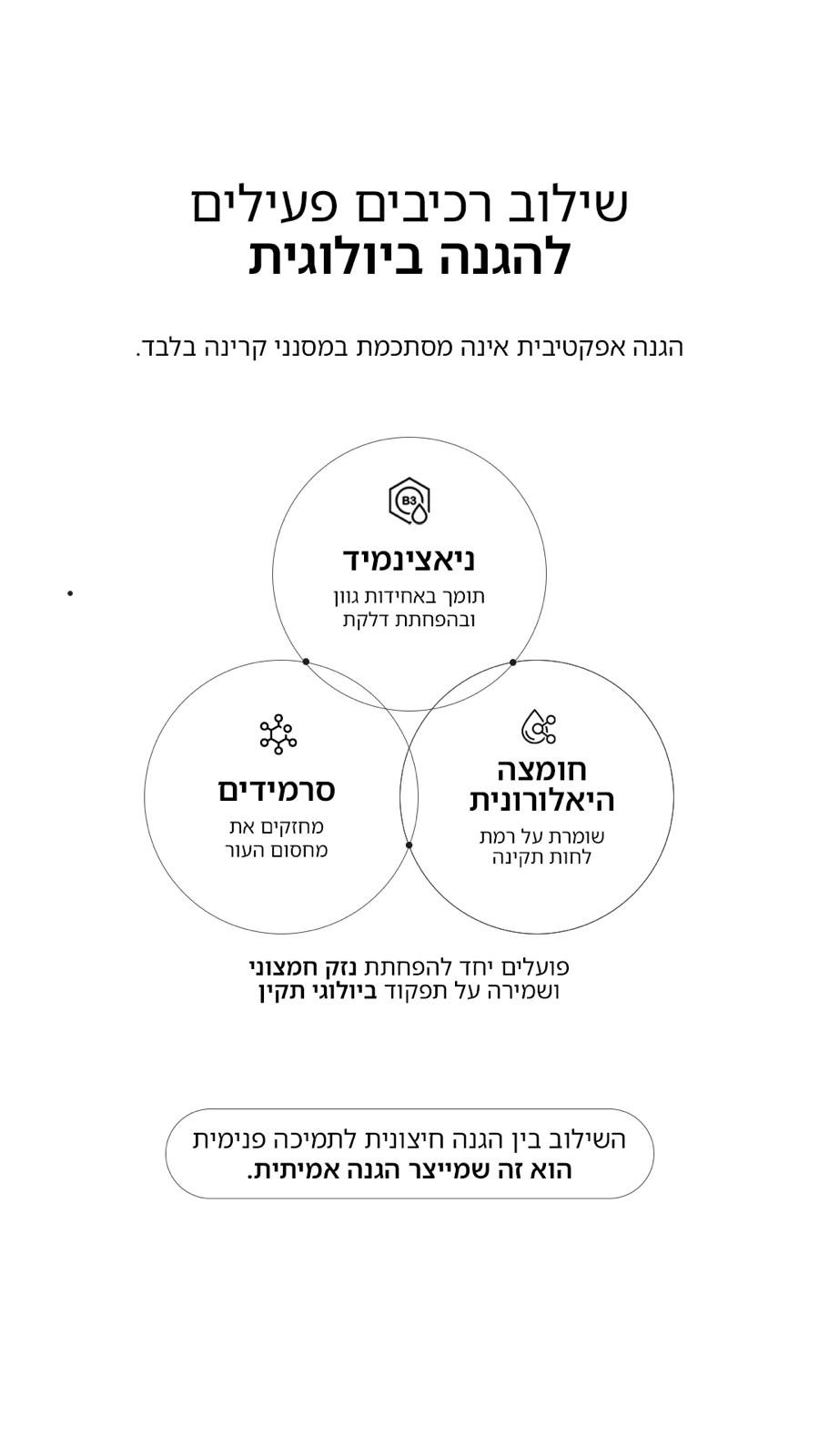 סוגי מסננים